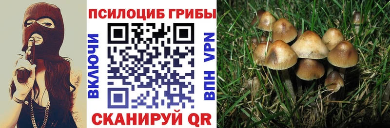 Купить где Мензелинск Галлюциногенные грибы мицелий